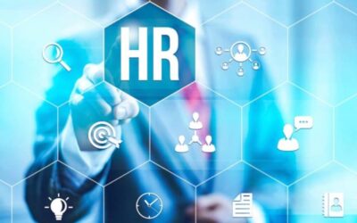خدمات الإستشارات القانونية للشركات و دعم موظفي الموارد البشرية ؟