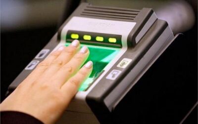 ما هو الفيش والتشبيه وكيف يتم استخراجه ؟