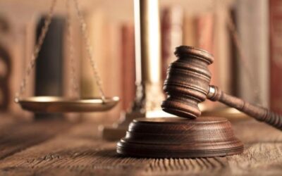 ما هي عقوبة تربية الكلاب بدون ترخيص وشروط ترخيصها ؟