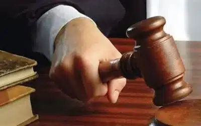 ما هي صيغة استئناف نفقة زوجية وصغار ؟