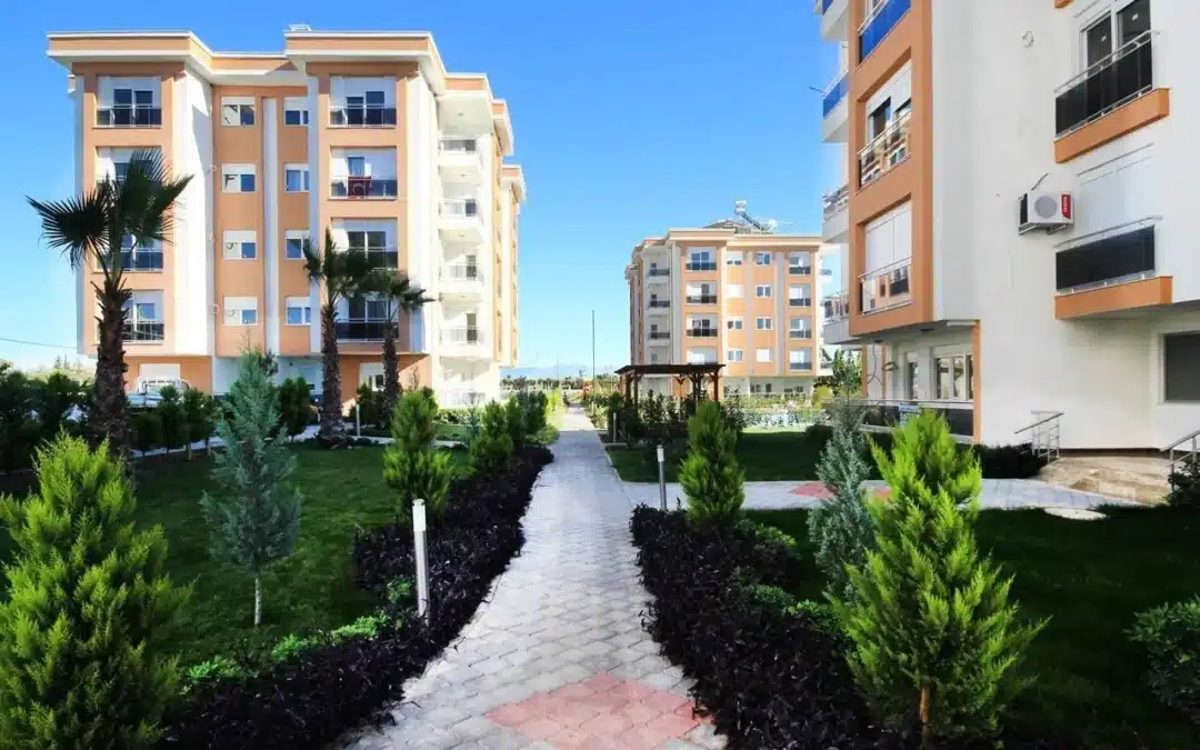 ما هي صيغة عقد بيع شقة 2023 نهائي ؟