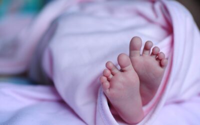 نموذج دعوى إثبات نسب و ما هي إجراءاته ؟
