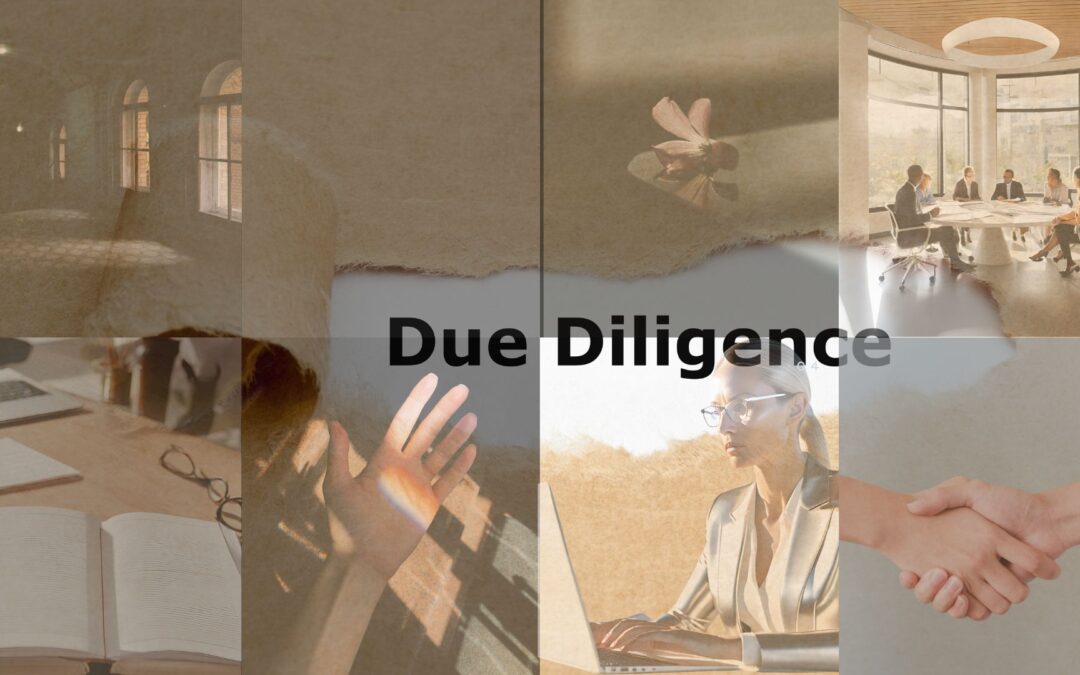 due diligence