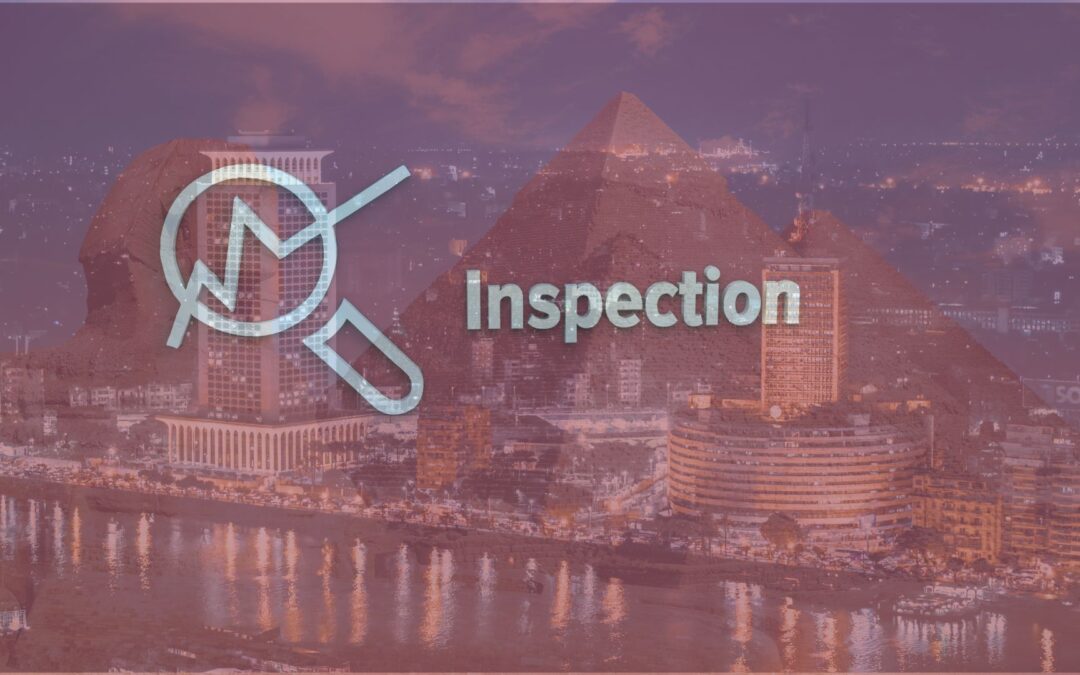inspection services we offer in Egypt
