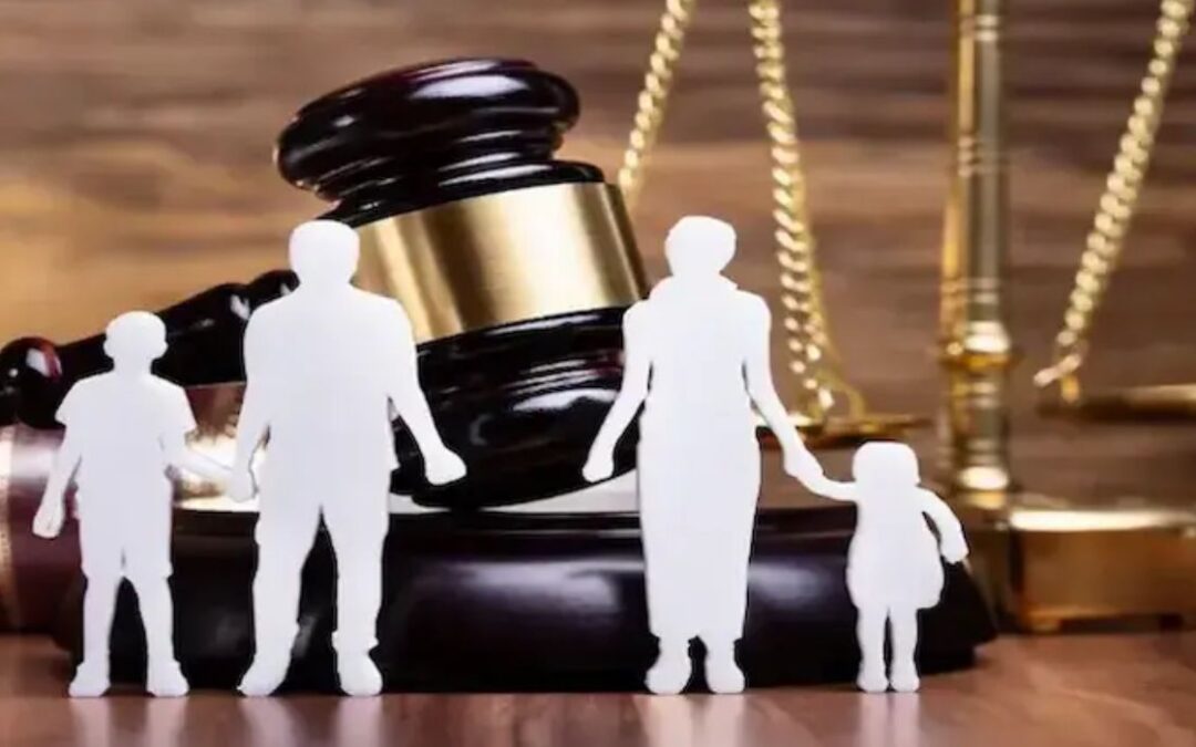 دور القضاء في حماية حقوق الأطفال في قضايا الحضانة ؟