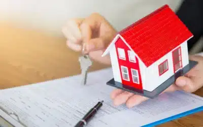 إجراءات التنازل عن الملكية ؟