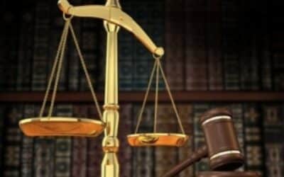 دور القضاء الدستوري في حماية الحقوق والحريات ؟