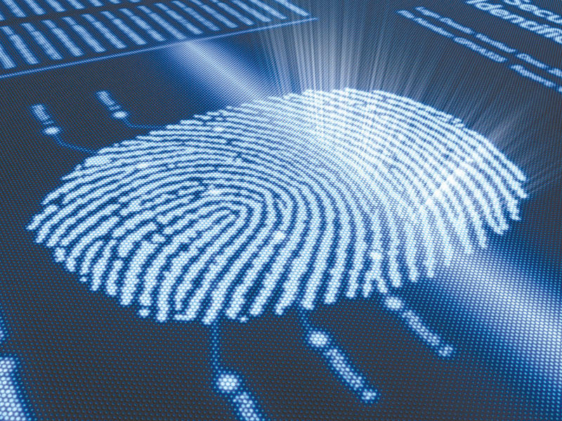 دور البصمة الوراثية في الإثبات الجنائي ؟