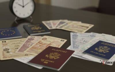 Estate Planning in Egypt