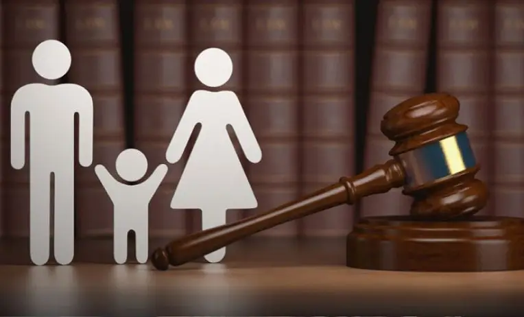 دعـوى نفقـة الزوجـة وإجراءاتهـا المتبعـة أمام المحـاكم الشرعيـة