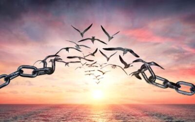 الإطار النظري في حرية الرأي والتعبير