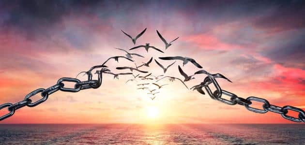 الإطار النظري في حرية الرأي والتعبير