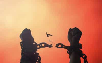 حقوق الإنسان بين التطبيق والعدم