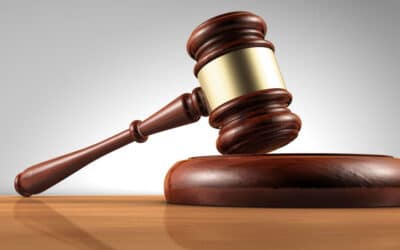 نظرية العقد الاجتماعي والدستور