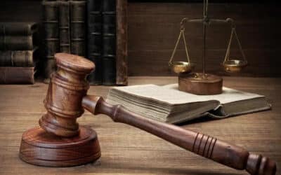 الدستور والدستورانية بعد الحراك العربي