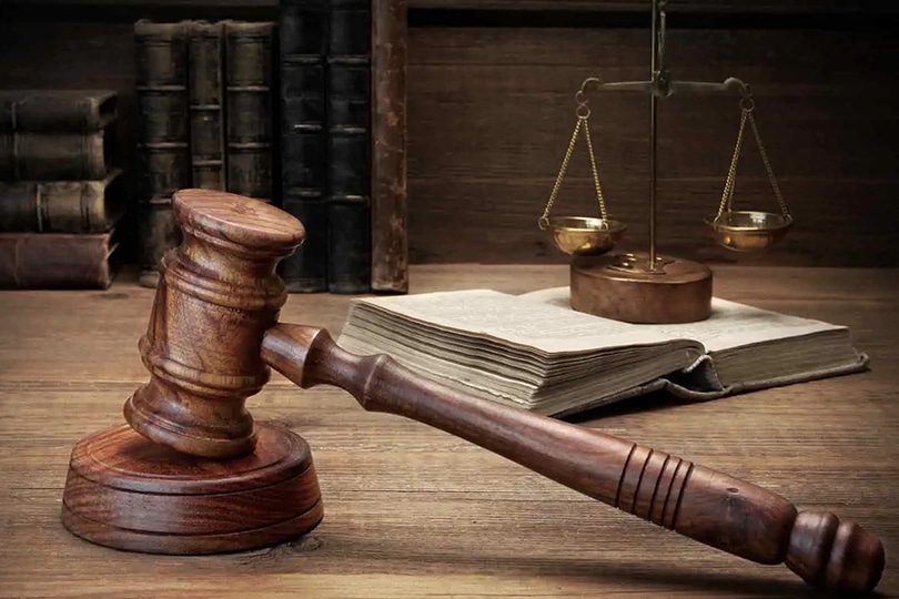 الدستور والدستورانية بعد الحراك العربي