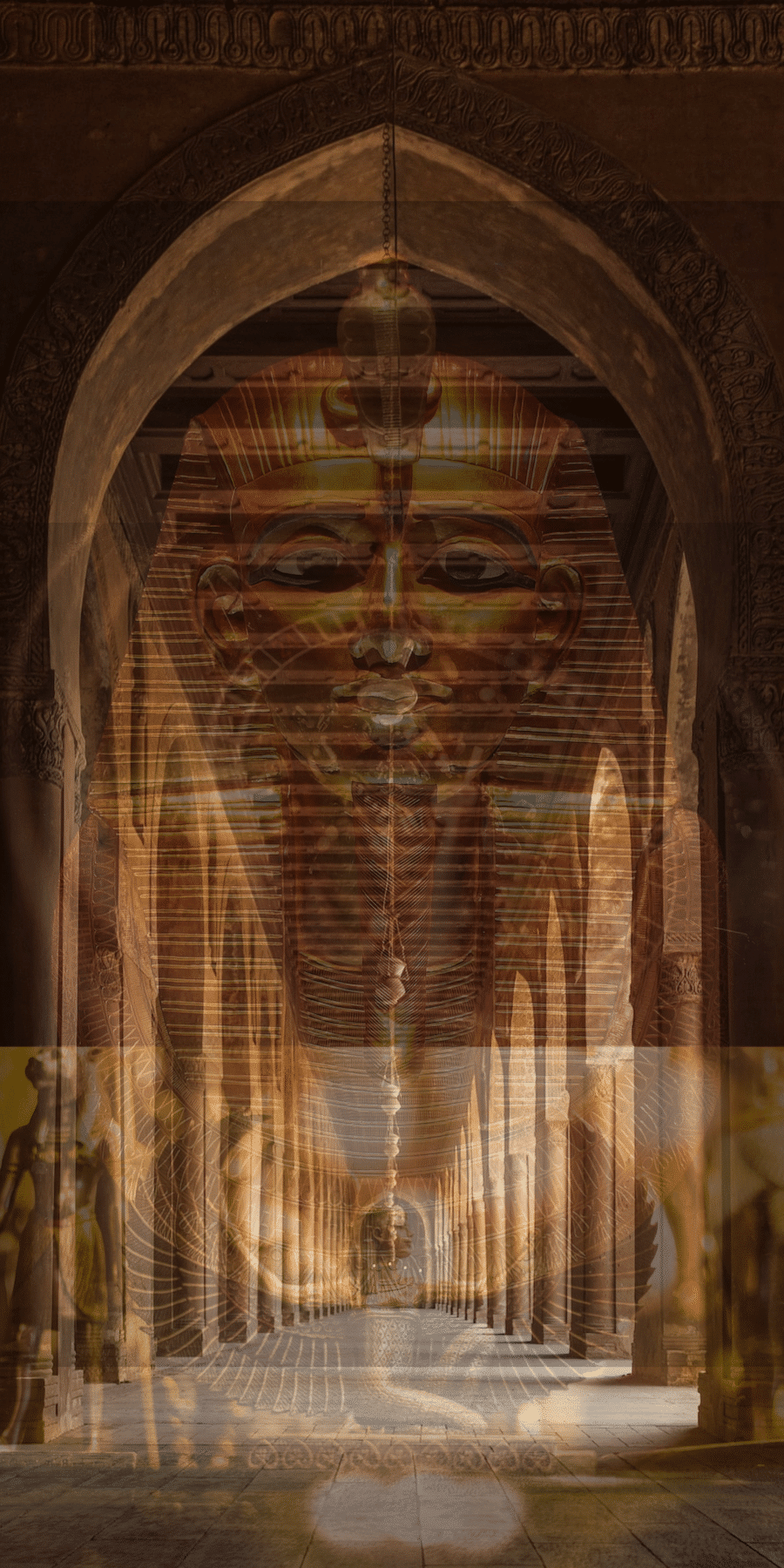 الزيات أول شركة متخصصة الميراث الدولي في مصر و سويسرا افضل محامي مواريث في مصر و سويسرا