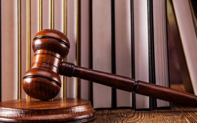 المحاكم ودورها في نظام العدالة